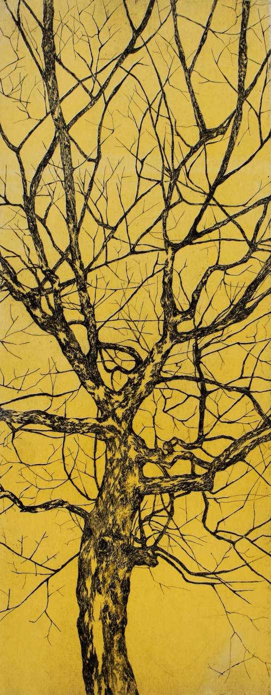 Série arbre couleur // "jaune", 2014